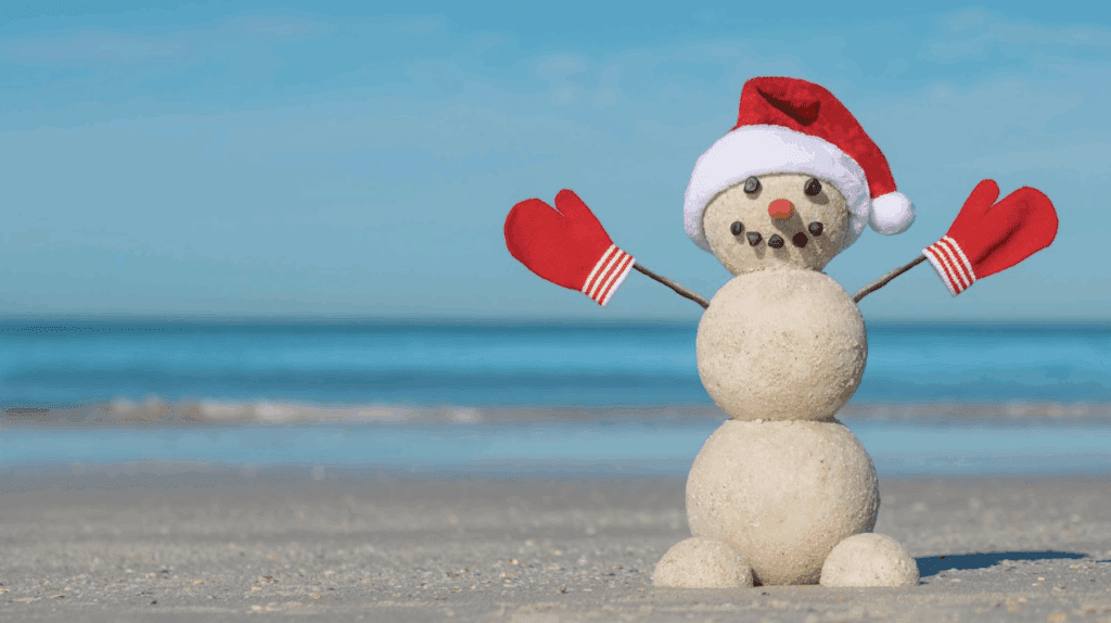 winter wedding in Florida